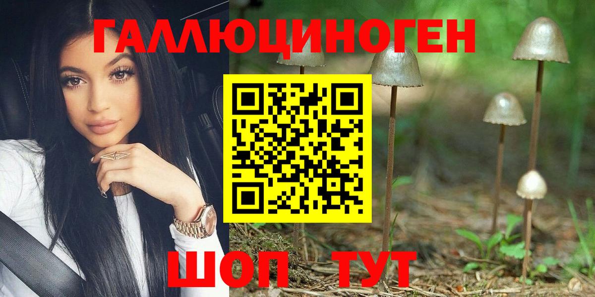 Псилоцибиновые грибы мицелий Карпинск