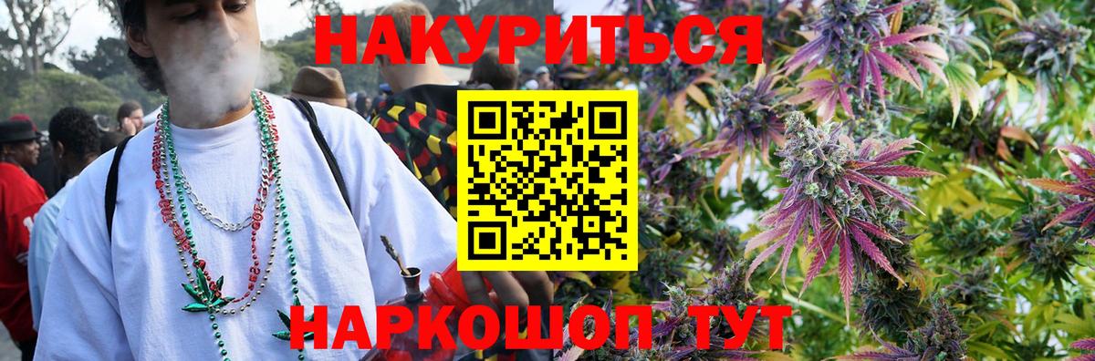 Бошки Шишки план Карпинск